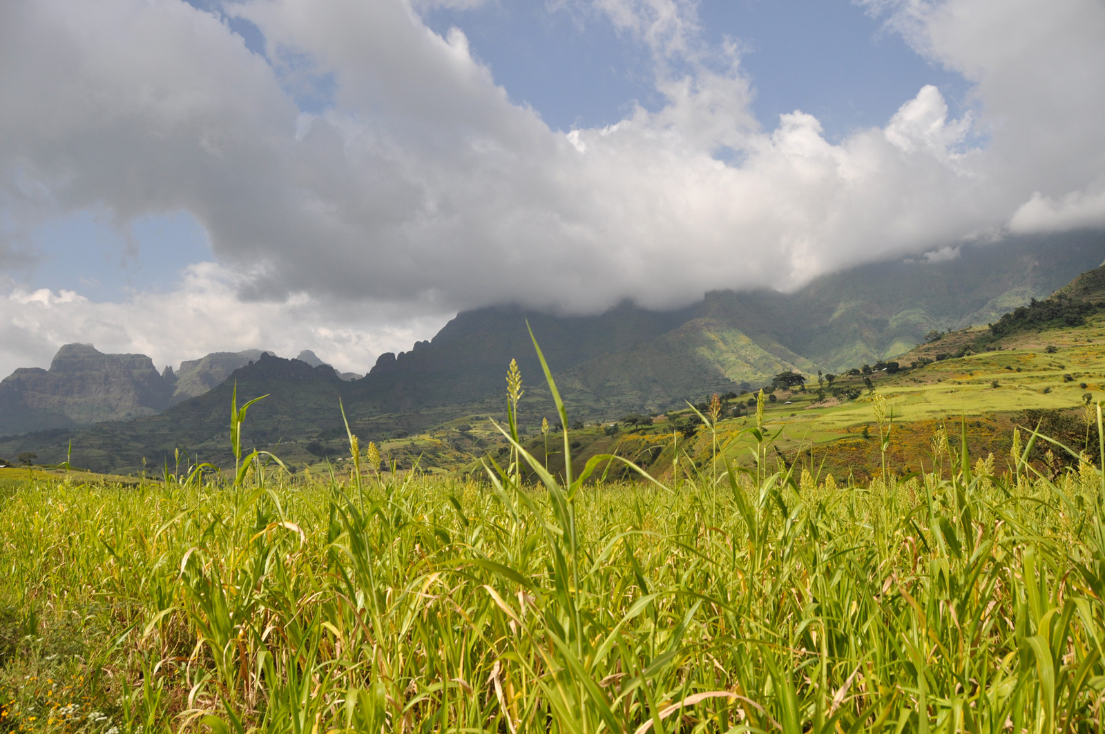 Природа национального парка – фотографии Эфиопии