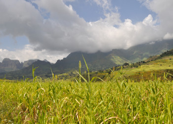 Природа национального парка – фотографии Эфиопии