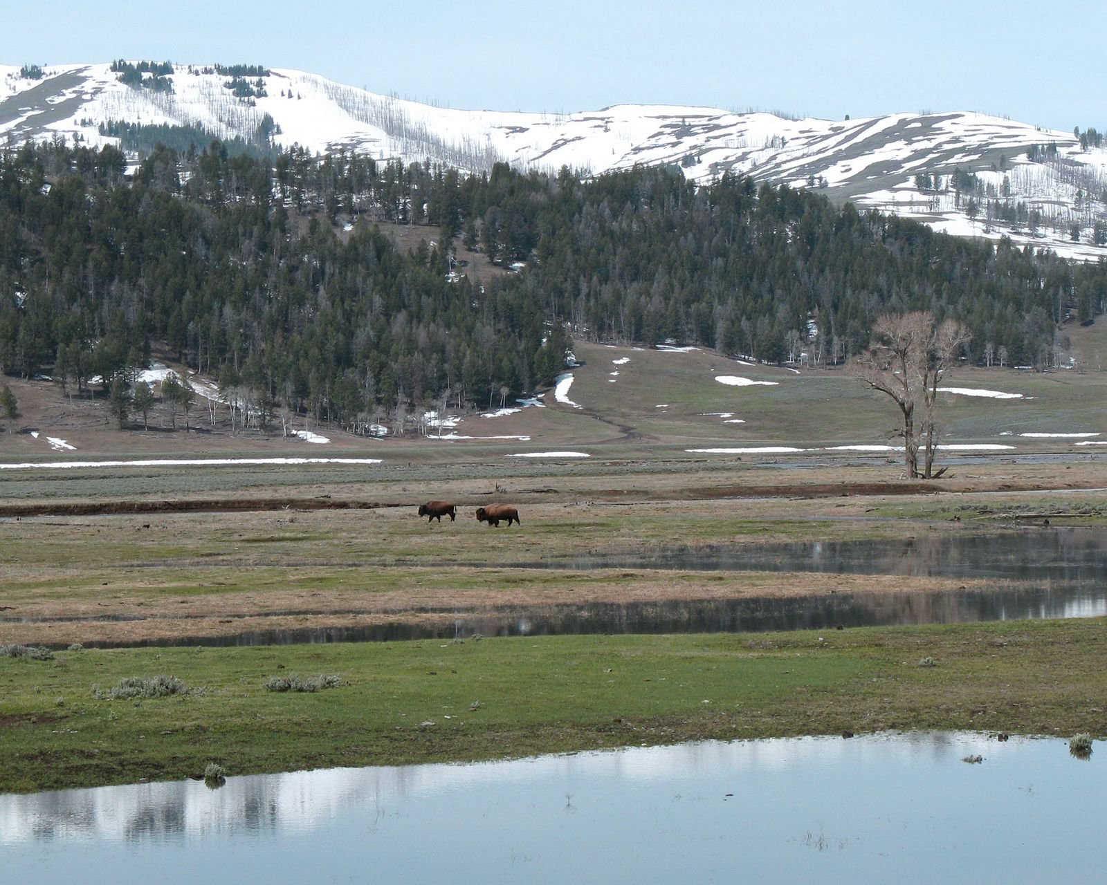 Йеллоустоун Национальный Парк, Вайоминг штат, США, фото № 67739 – фотографии США