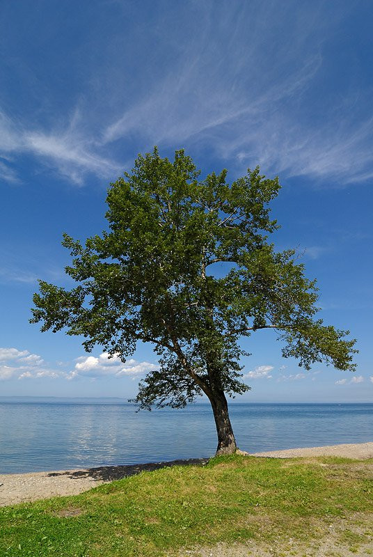 Берег Байкала, Россия. Фото 19 – фотографии России