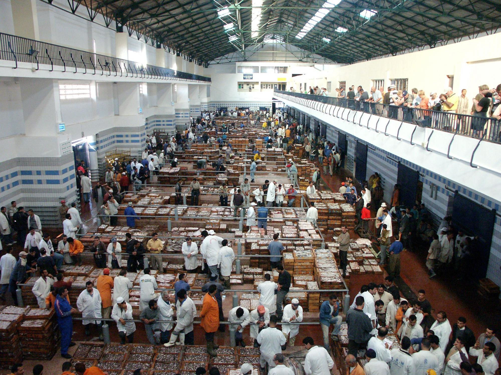 Марокко, фото № 198 – фотографии Марокко