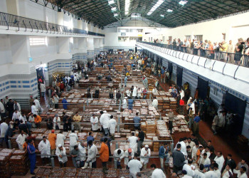 Марокко, фото № 198 – фотографии Марокко