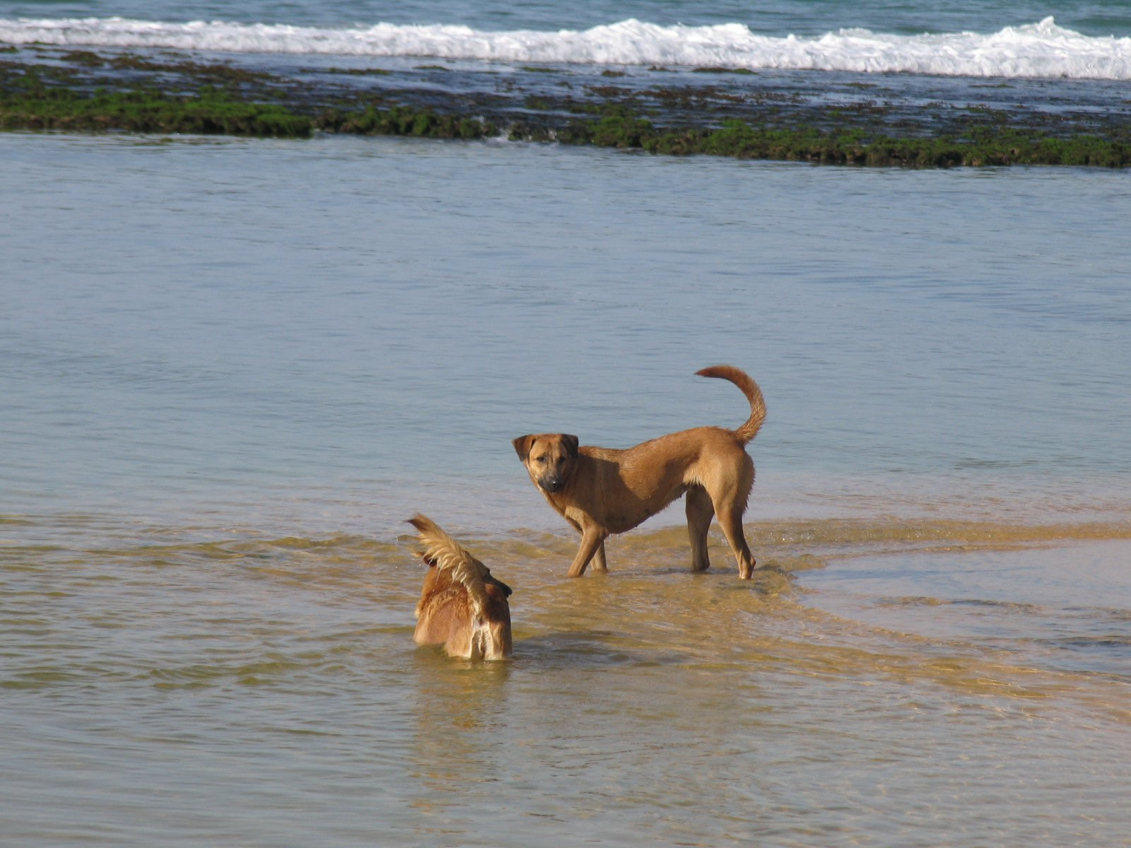Галле, Шри-Ланка, фото № 50961 – фотографии Шри-Ланки