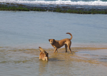 Галле, Шри-Ланка, фото № 50961 – фотографии Шри-Ланки