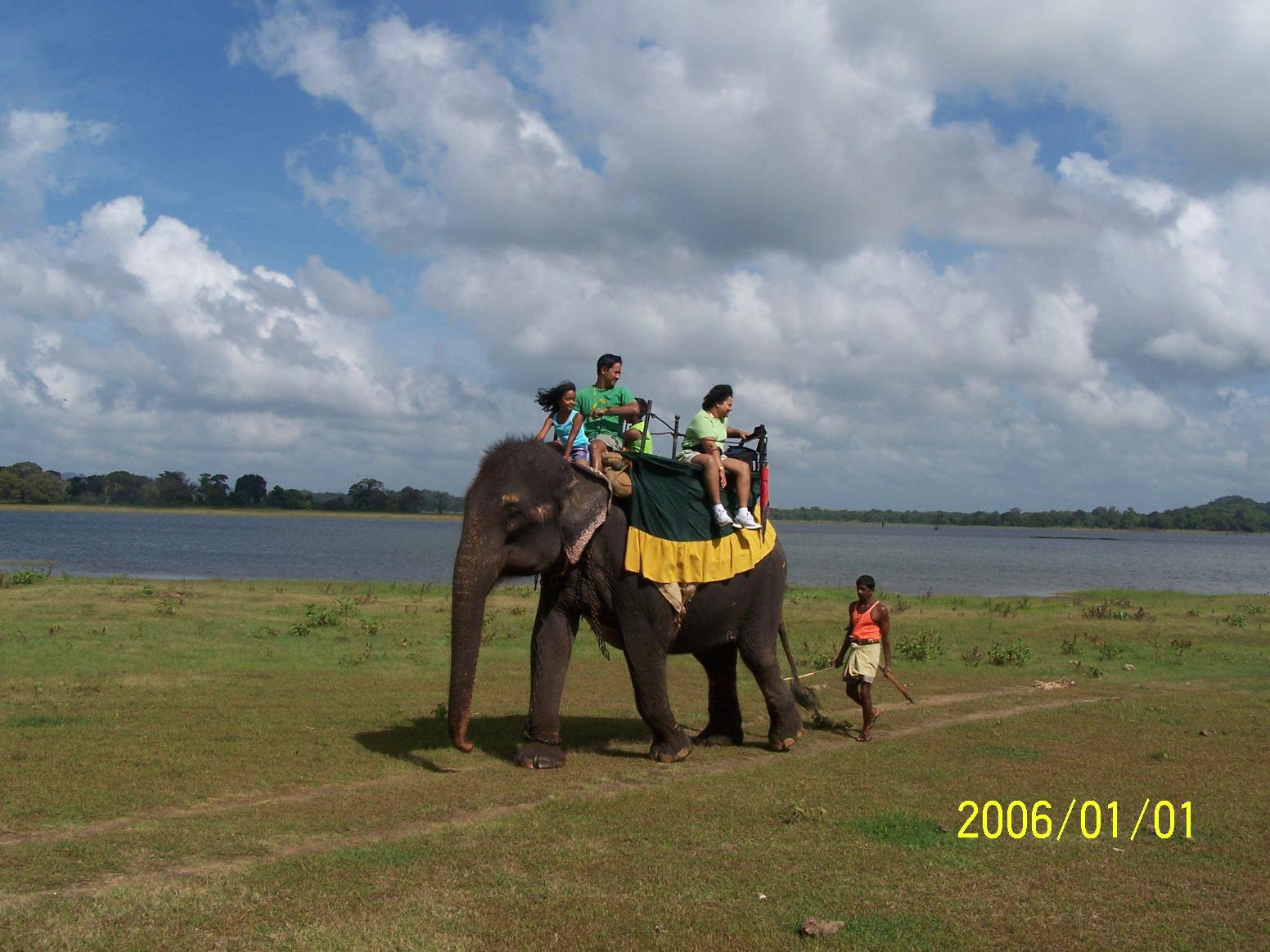 Кандалама, Шри-Ланка, фото № 51303 – фотографии Шри-Ланки