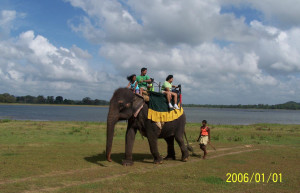 Кандалама, Шри-Ланка, фото № 51303 – фотографии Шри-Ланки