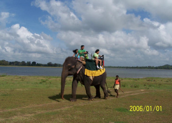 Кандалама, Шри-Ланка, фото № 51303 – фотографии Шри-Ланки