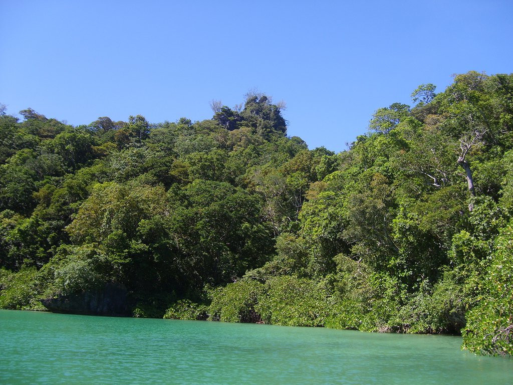 Вануа Балаву остров, Лоу группа островов, Фиджи, фото № 48618 – фотографии Фиджи