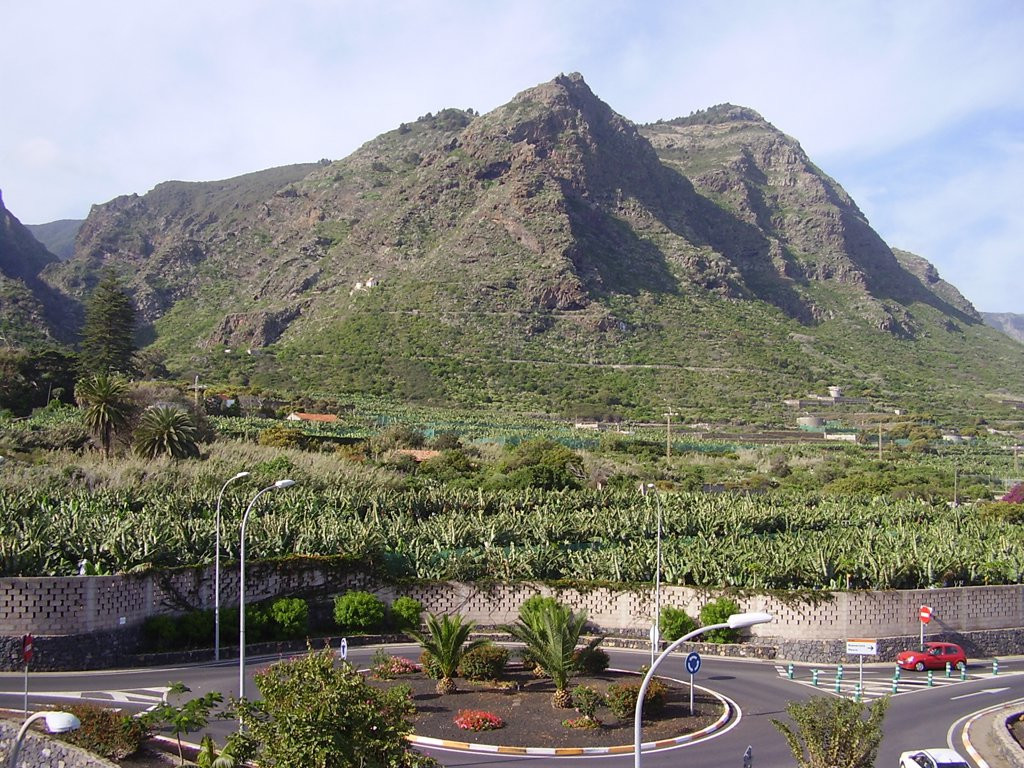 Лос-Силос, Тенерифе остров, Канарские острова, фото № 33457 – фотографии Канарских островов