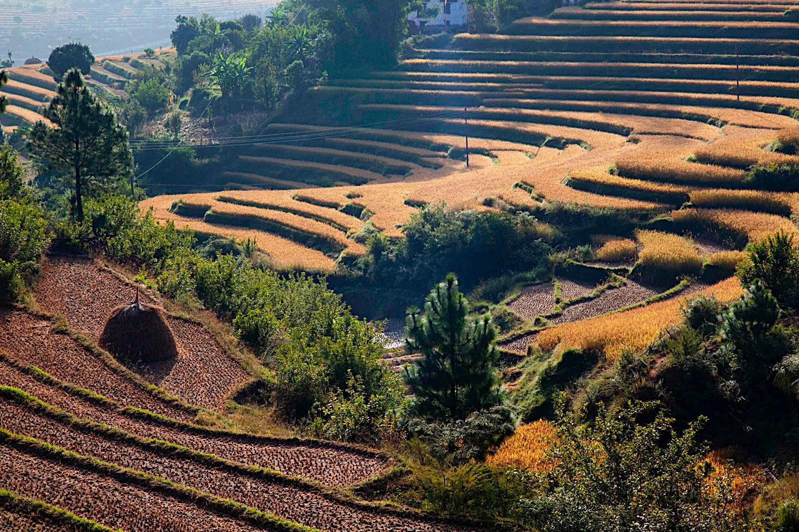 Бутан, фото № 4732 – фотографии Бутана