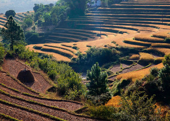 Бутан, фото № 4732 – фотографии Бутана