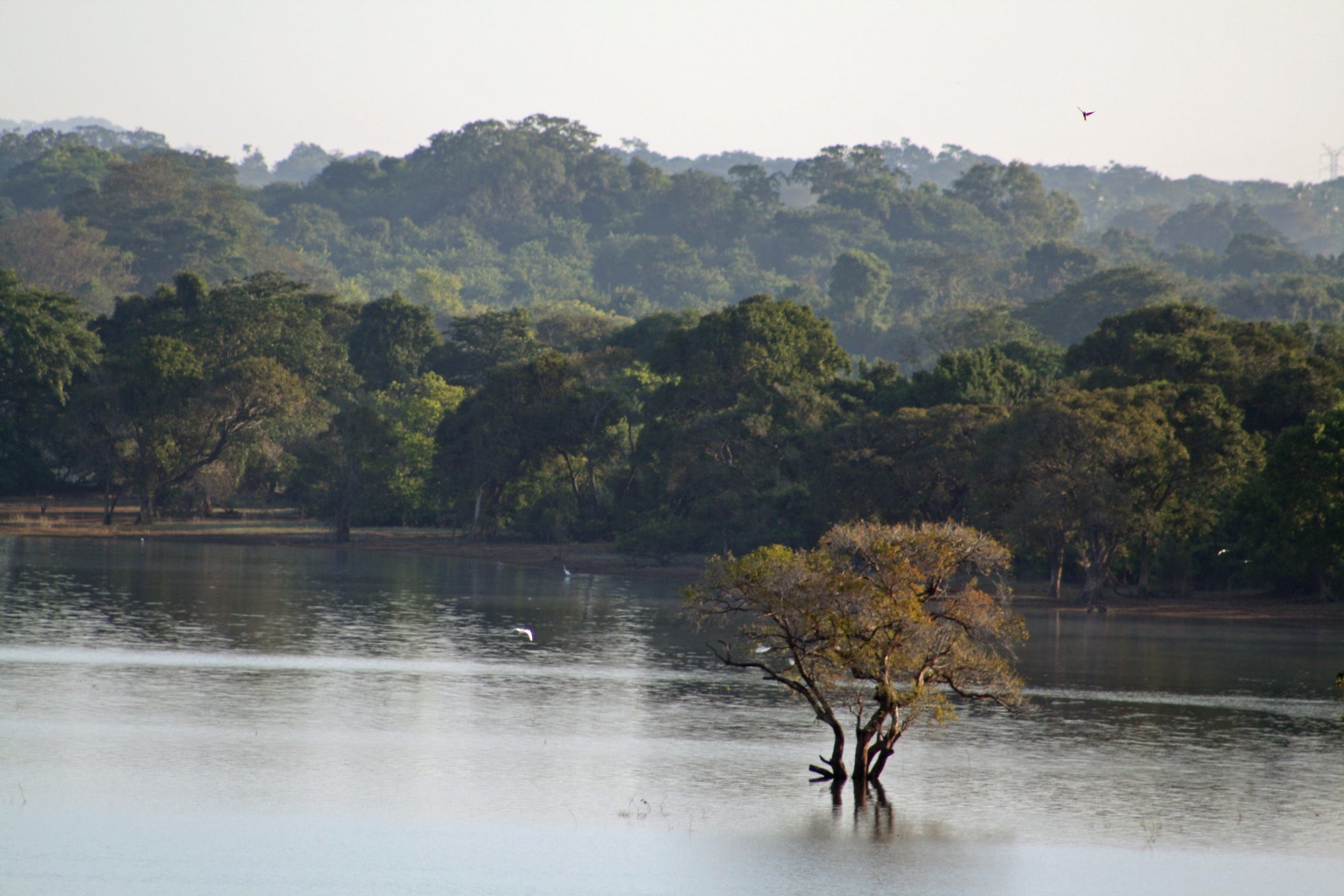 Кандалама, Шри-Ланка, фото № 51296 – фотографии Шри-Ланки