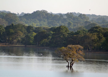 Кандалама, Шри-Ланка, фото № 51296 – фотографии Шри-Ланки