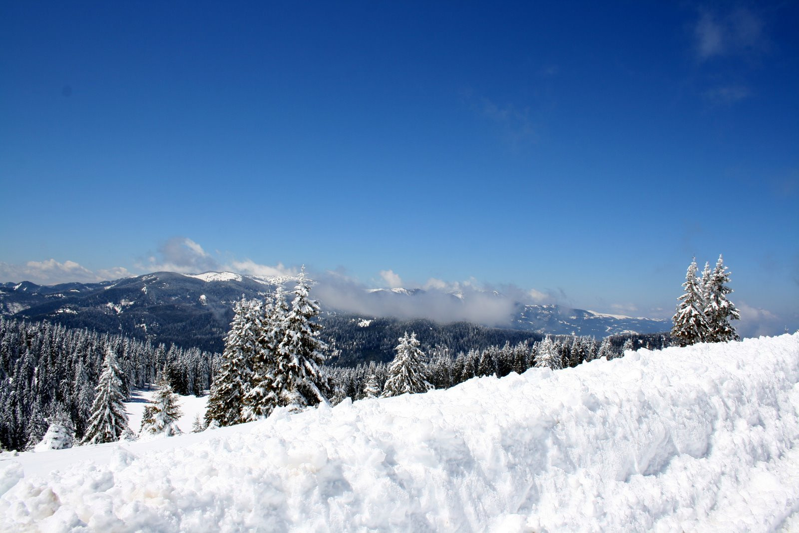 Зима в Пампорово, Болгария. Фото 1 – фотографии Болгарии