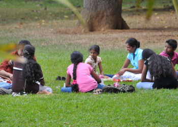Королевский Ботанический сад, Канди, Шри-Ланка. Фото 7 – фотографии Шри-Ланки