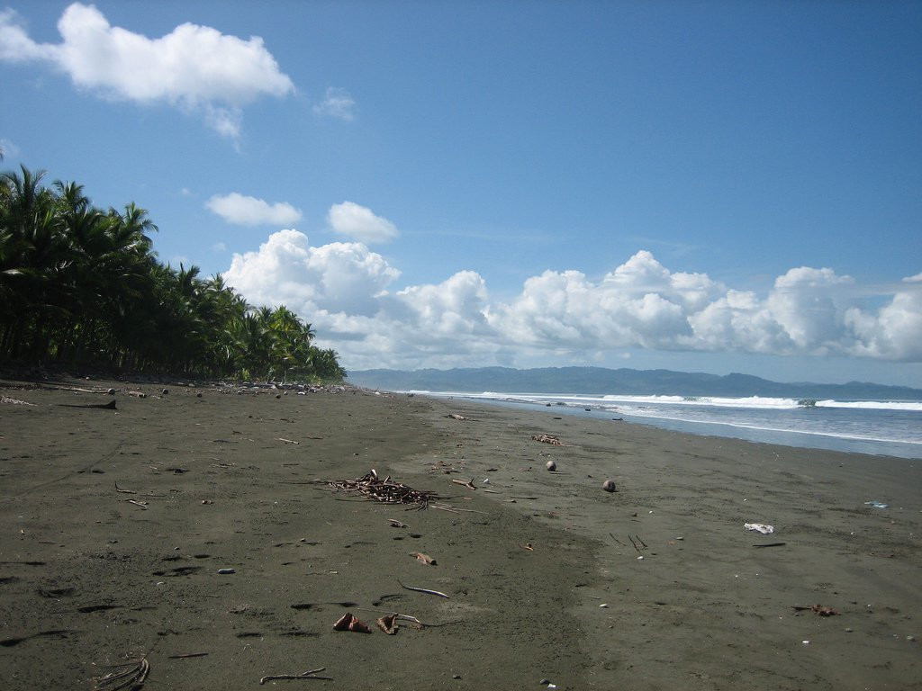 Плайа Занкудо, Пунтаренас провинция, Коста-Рика, фото № 40912 – фотографии Коста-Рики