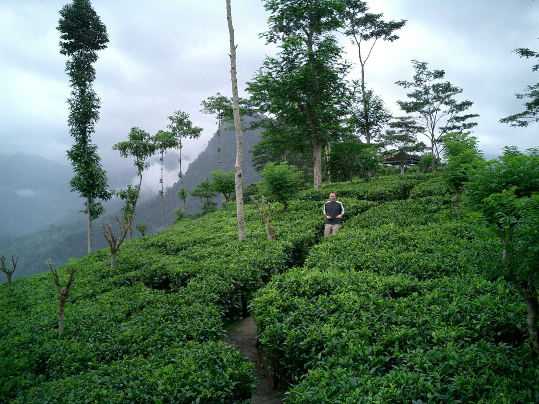 Нувара Элия, Шри-Ланка, фото № 52028 – фотографии Шри-Ланки