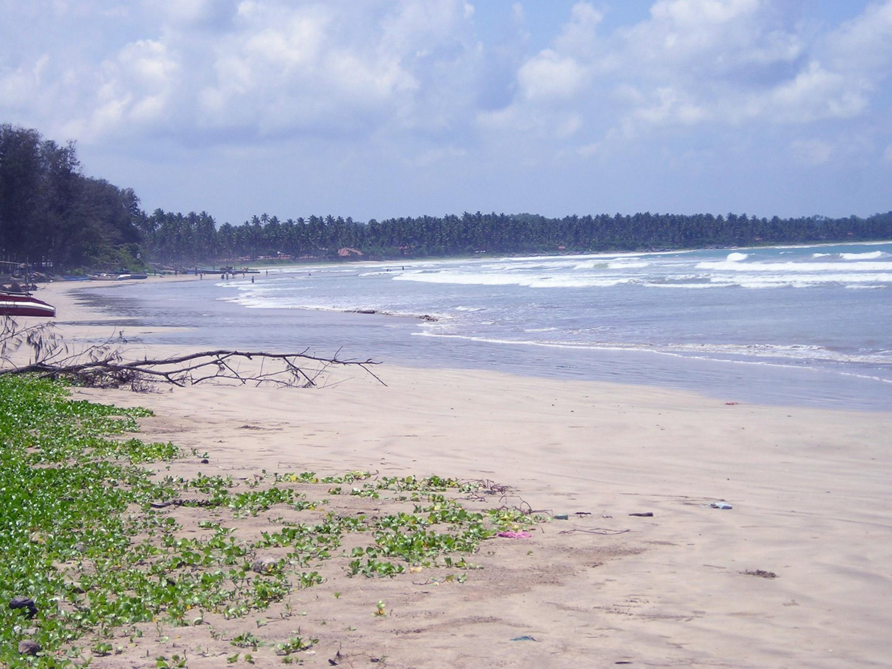 Велигама, Шри-Ланка, фото № 50868 – фотографии Шри-Ланки