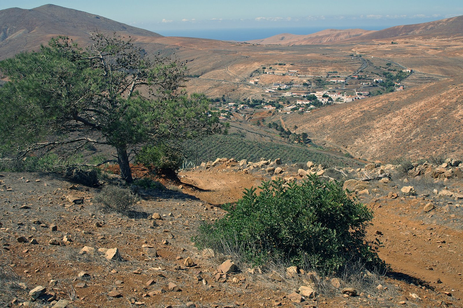 Бетанкурия, Фуэртевентура остров, Канарские острова, фото № 34028 – фотографии Канарских островов
