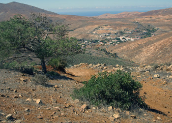 Бетанкурия, Фуэртевентура остров, Канарские острова, фото № 34028 – фотографии Канарских островов