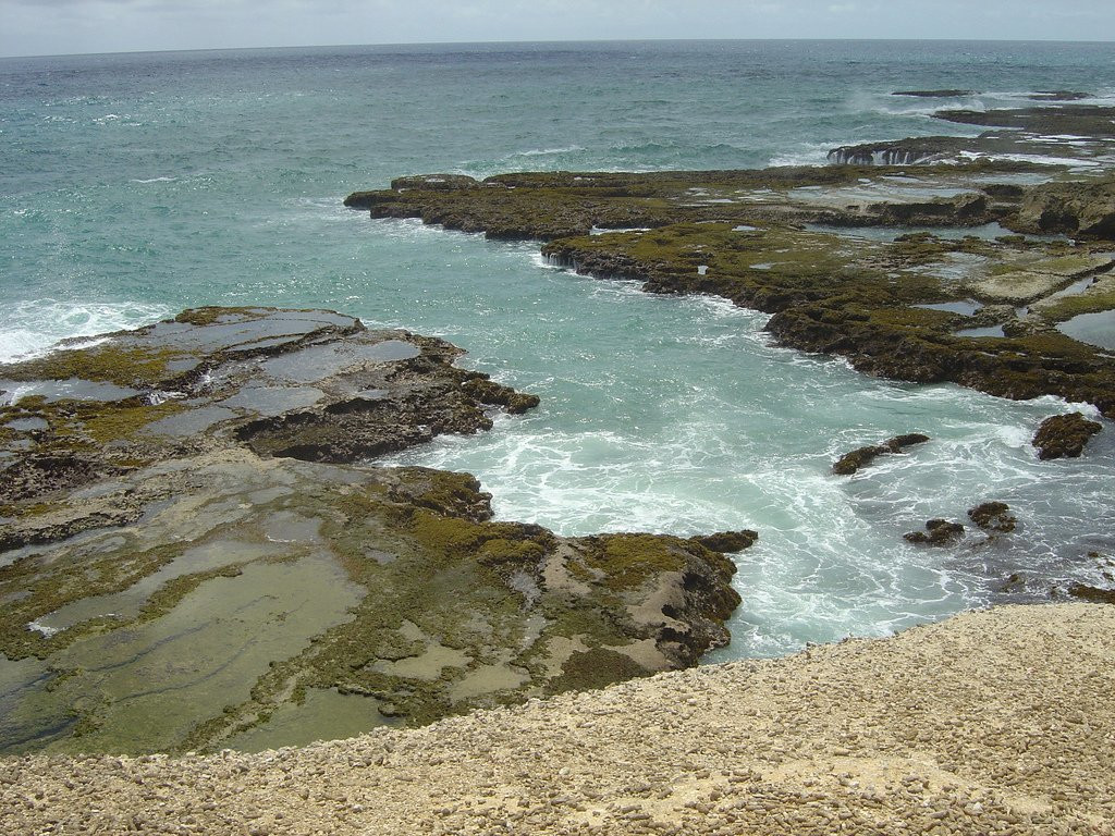 Little Bay, North Coast, Barbados – фотографии Барбадоса