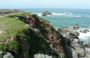 Скалы в Бель-Иль, Франция. Фото 1 – фотографии Франции