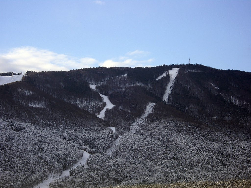 Мариборско Похорье, Словения, фото № 57330 – фотографии Словении