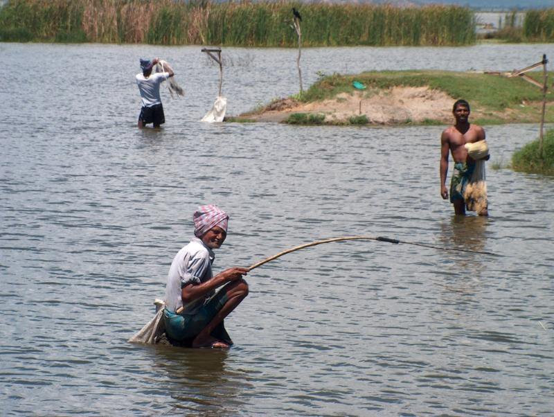 Шри-Ланка, фото № 1159 – фотографии Шри-Ланки