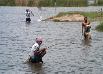 Шри-Ланка, фото № 1159 – фотографии Шри-Ланки