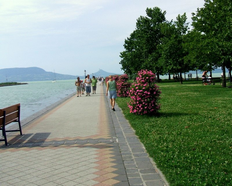 Балатон озеро, Венгрия, фото № 68433 – фотографии Венгрии