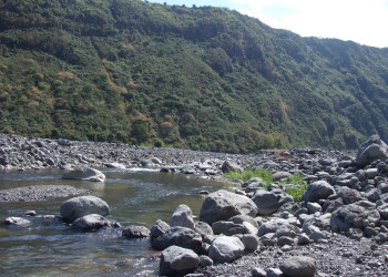 Реюньон, фото № 338 – фотографии Реюньона