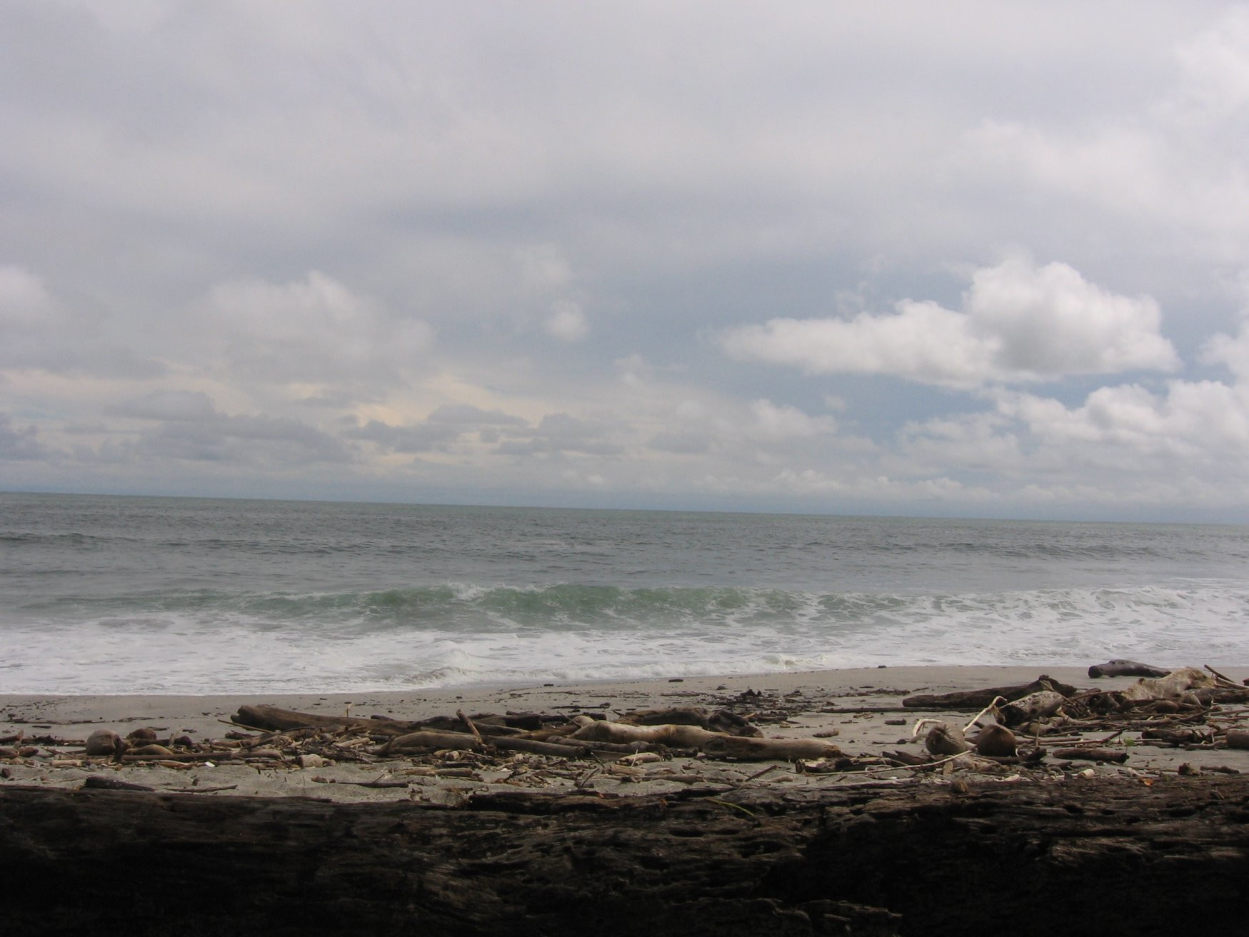 Монтезума, Пунтаренас провинция, Коста-Рика, фото № 40796 – фотографии Коста-Рики