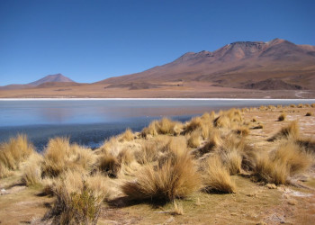 Боливия, фото № 3693 – фотографии Боливии