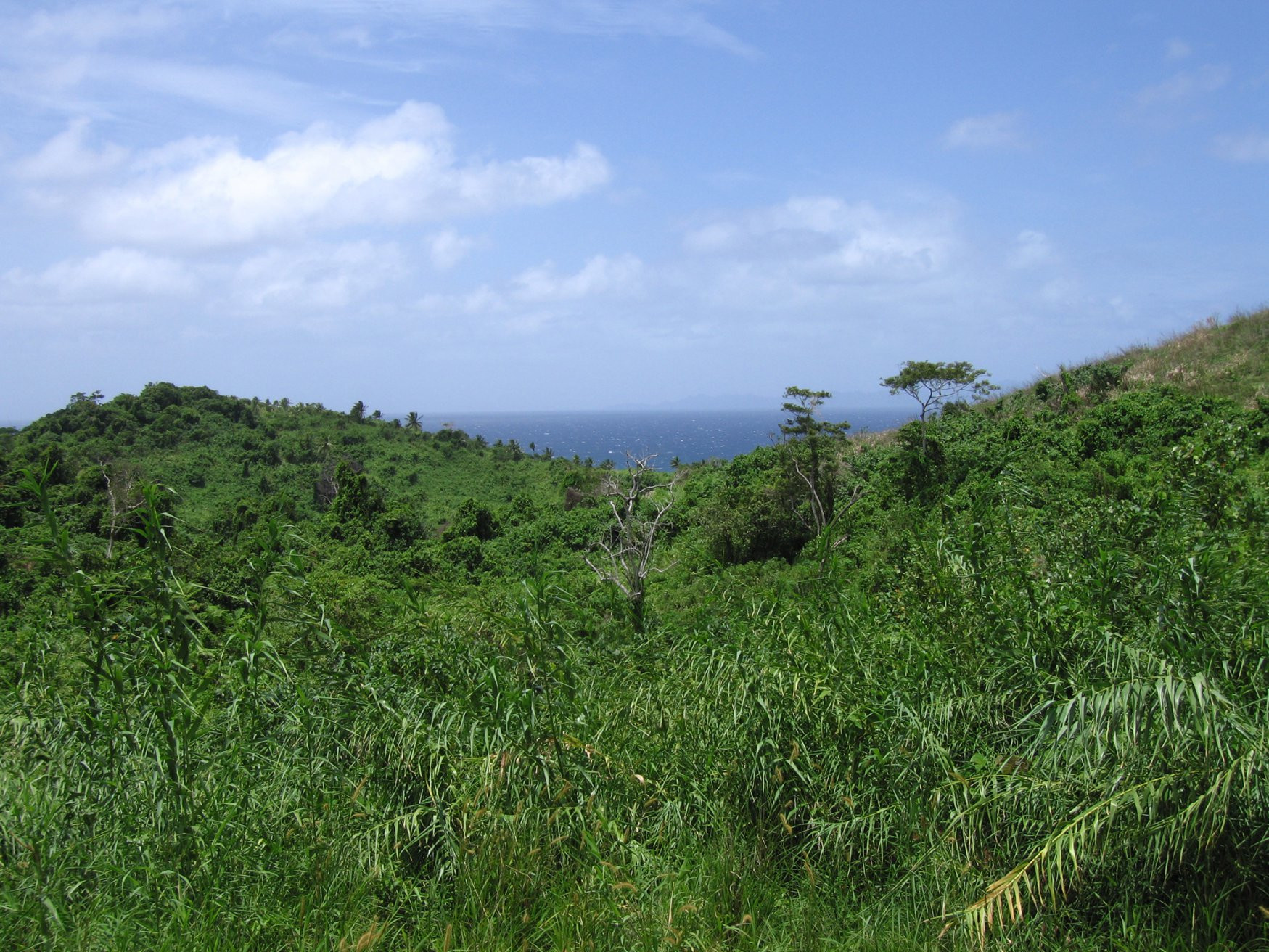 Вануа Леву группа островов, Фиджи, фото № 49184 – фотографии Фиджи