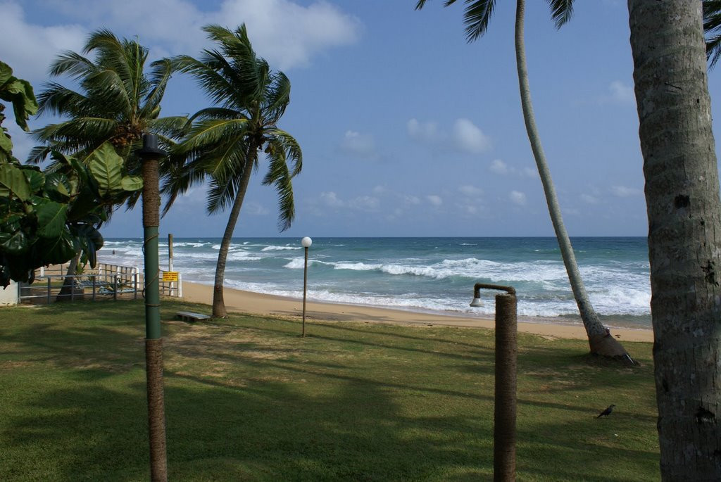 Шри-Ланка, фото № 1190 – фотографии Шри-Ланки