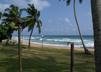 Шри-Ланка, фото № 1190 – фотографии Шри-Ланки