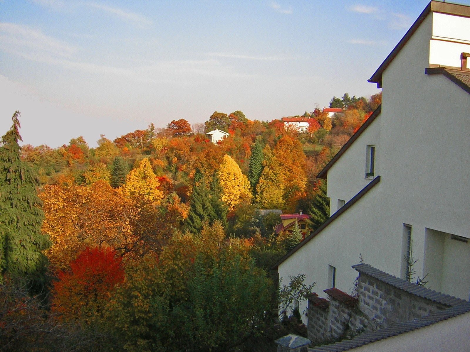 Природа в Витоша, Болгария. Фото 8 – фотографии Болгарии