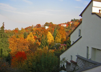 Природа в Витоша, Болгария. Фото 8 – фотографии Болгарии