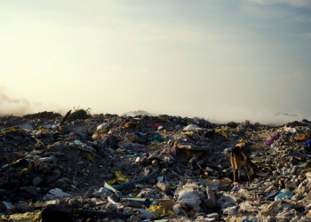 Мусорный остров на Мальдивах. Фото 4 – фотографии Мальдивских островов