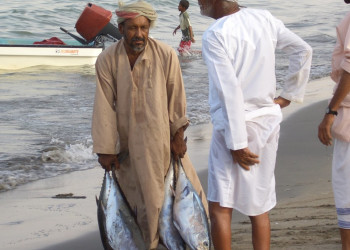 Сур, Оман, фото № 78185 – фотографии Омана