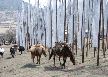 Бутан, фото № 4723 – фотографии Бутана