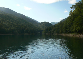 Озеро в Национальном парке, Черногория. Фото 22 – фотографии Черногории