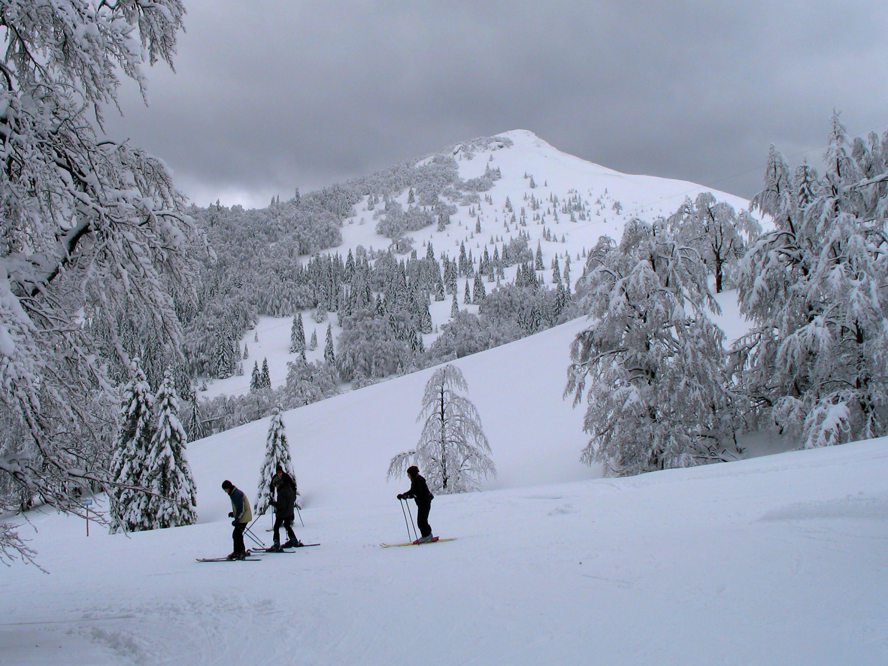 Соришка Планина, Словения, фото № 57553 – фотографии Словении