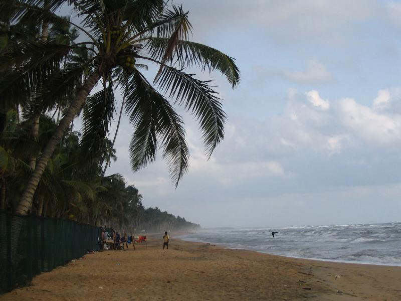 Ваддува, Шри-Ланка, фото № 50785 – фотографии Шри-Ланки