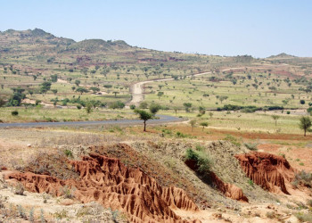 Саванна в Эфиопии. Фото 7 – фотографии Эфиопии