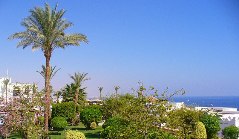 Шарм-эль-Шейх, Египет, фото № 35740 – фотографии Египта