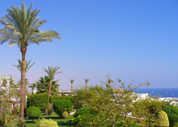 Шарм-эль-Шейх, Египет, фото № 35740 – фотографии Египта