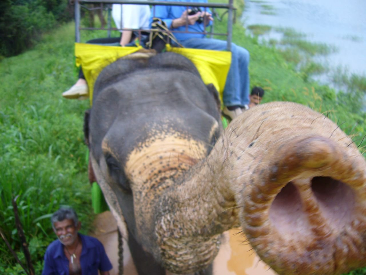 Хабарана, Шри-Ланка, фото № 52478 – фотографии Шри-Ланки