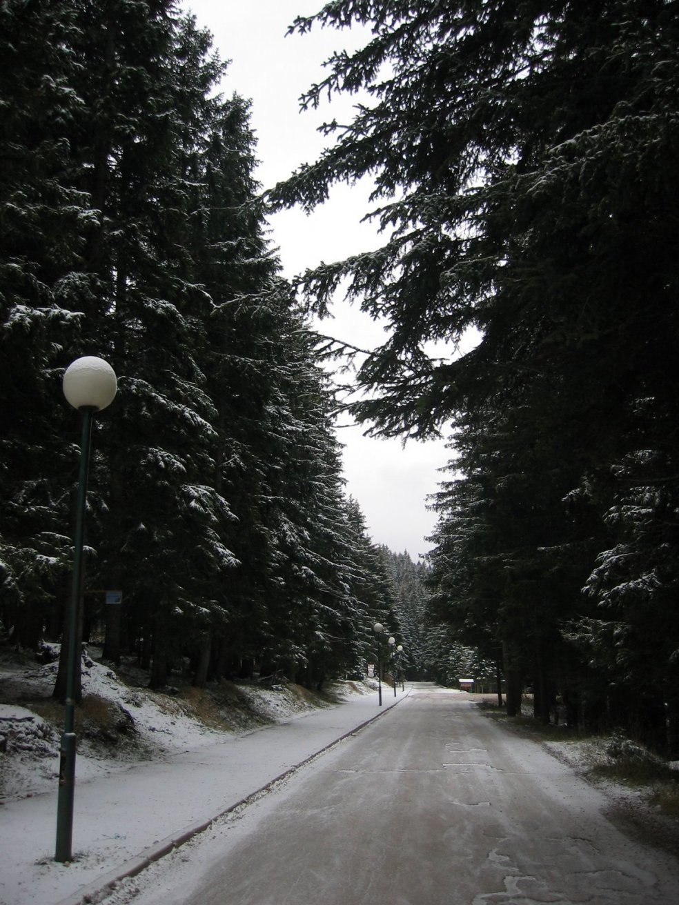 Дорога в Жабляк, Черногория. Фото 1 – фотографии Черногории