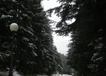 Дорога в Жабляк, Черногория. Фото 1 – фотографии Черногории